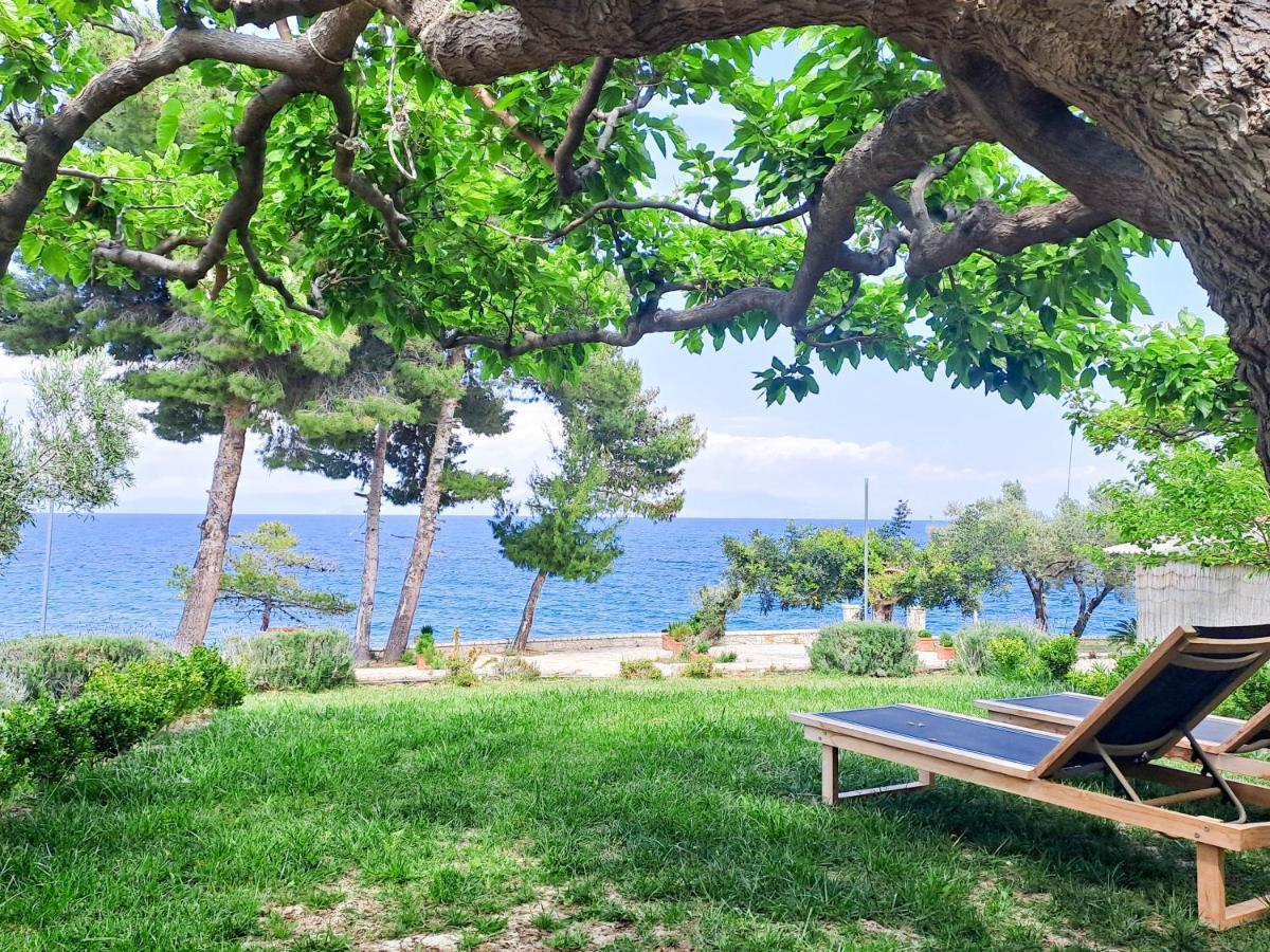 Nama Beach House Arkadiko Chorio エクステリア 写真