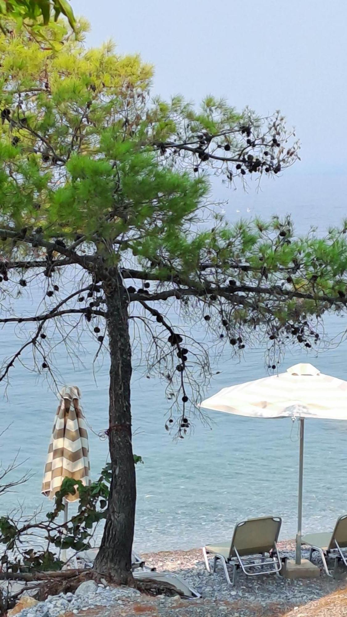 Nama Beach House Arkadiko Chorio エクステリア 写真